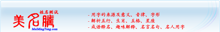 用字的來源及意義、音律、字形；五行、生肖、五格、星座；成語釋名、趣味解釋、名言名句、名人用字